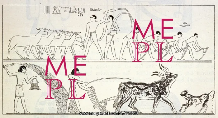 : ANCIENT EGYPT FARMING : ANCIENT EGYPT FARMING