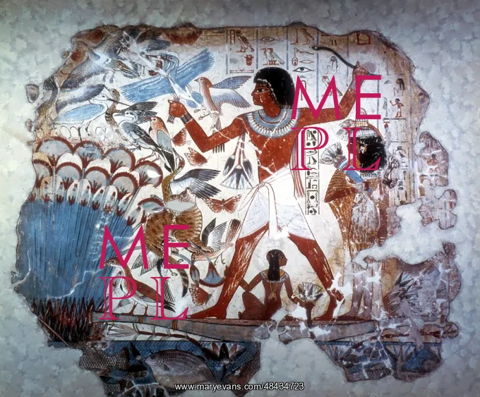 : Ancient Egyptian hunting wildfowl with a throwing : Ancient Egyptian hunting wildfowl with a throwing