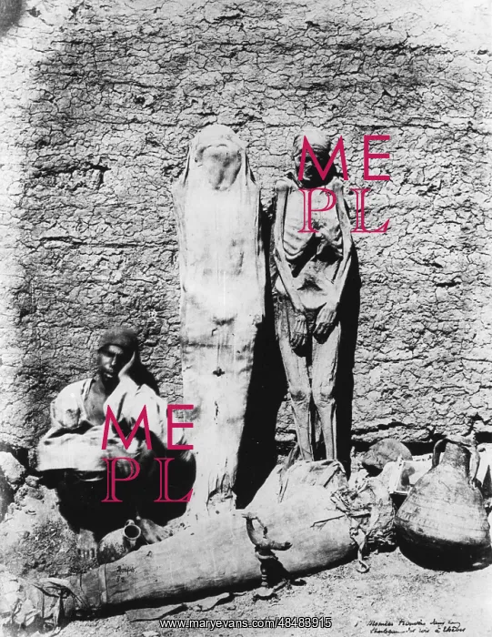 : Ancient Egyptian mummies, 1860. Mummies displayed : Ancient Egyptian mummies, 1860. Mummies displayed