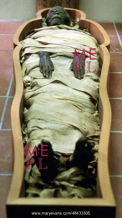 : Ancient Egyptian mummy in wrappings : Ancient Egyptian mummy in wrappings