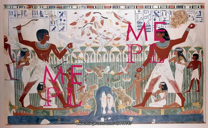 : Ancient Egyptians hunting wildfowl with throwing : Ancient Egyptians hunting wildfowl with throwing