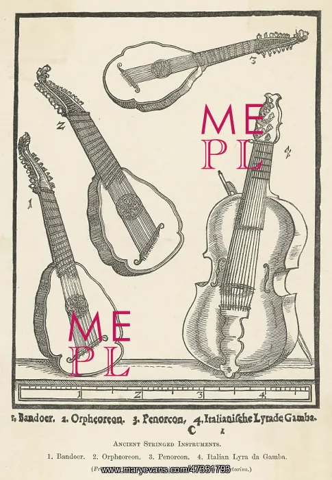 : ANCIENT STRING INSTRUM : ANCIENT STRING INSTRUM