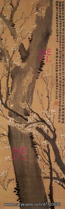  : Ancient Tree Trunk