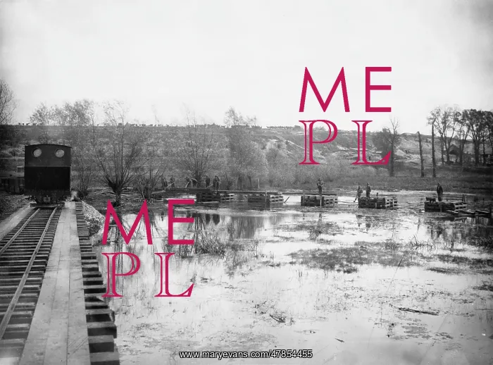 : Ancre swamps 1916 : Ancre swamps 1916