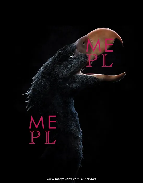 : Andalgalornis steulleti, a flightless predatory bird : Andalgalornis steulleti, a flightless predatory bird