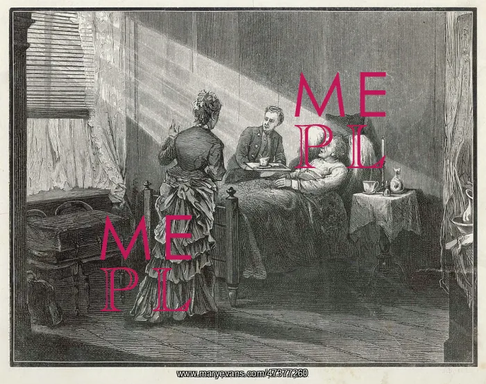 : ANDERSEN'S DEATH 1875 : ANDERSEN'S DEATH 1875