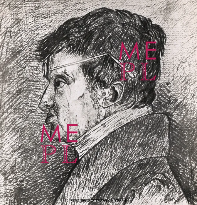 : Andre Marie Amp?re, French Physicist : Andre Marie Amp?re, French Physicist