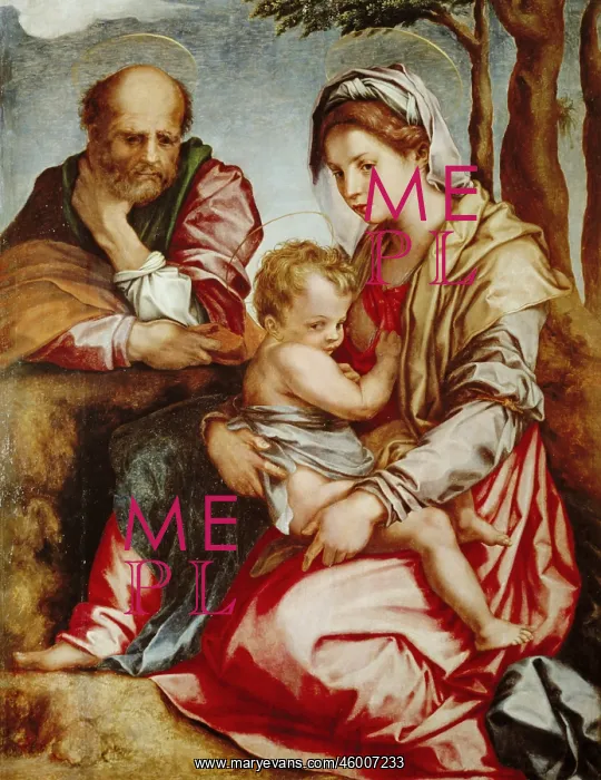 : Andrea del Sarto, (1486 : Andrea del Sarto, (1486
