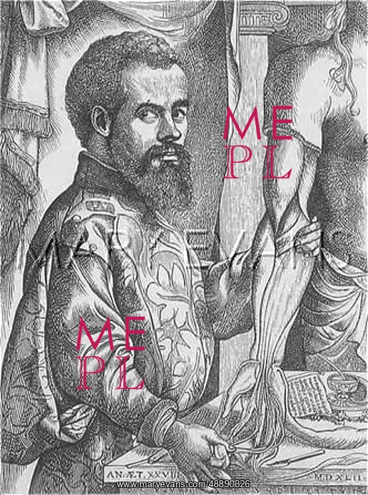  : Andreas Vesalius