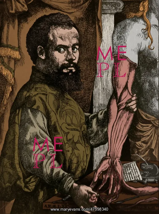 : Andreas Vesalius, Flemish Anatomist : Andreas Vesalius, Flemish Anatomist