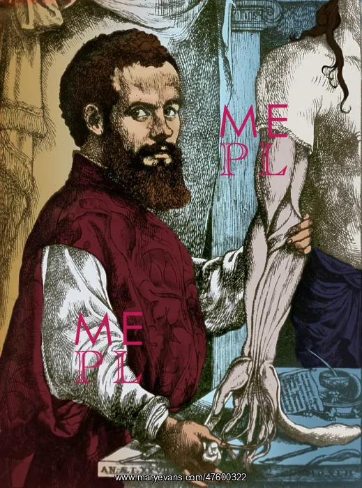 : Andreas Vesalius, Flemish Anatomist : Andreas Vesalius, Flemish Anatomist