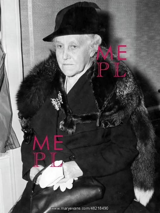 : Andrew Carnegie : Andrew Carnegie