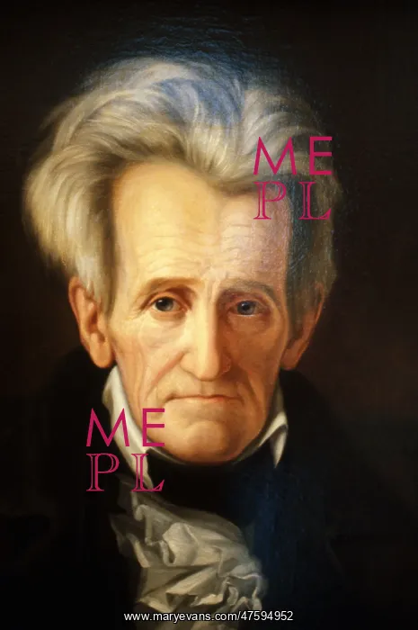 : Andrew Jackson, 7th American President : Andrew Jackson, 7th American President