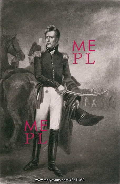 : Andrew Jackson as the hero of New Orleans ? : Andrew Jackson as the hero of New Orleans ?