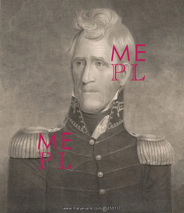 : Andrew Jackson, portrait engraving after a 1817 : Andrew Jackson, portrait engraving after a 1817