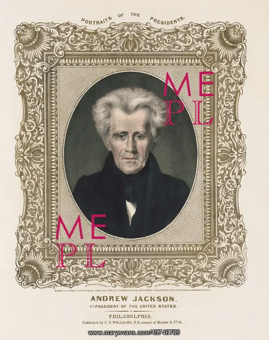 : Andrew Jackson - President - politics : Andrew Jackson - President - politics