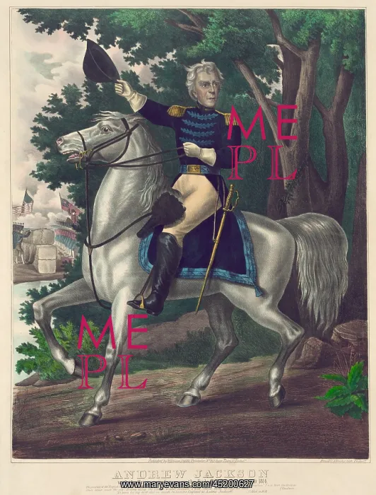: Andrew Jackson with the Tennessee forces ? : Andrew Jackson with the Tennessee forces ?