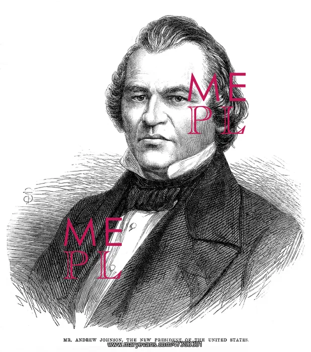 : ANDREW JOHNSON : ANDREW JOHNSON