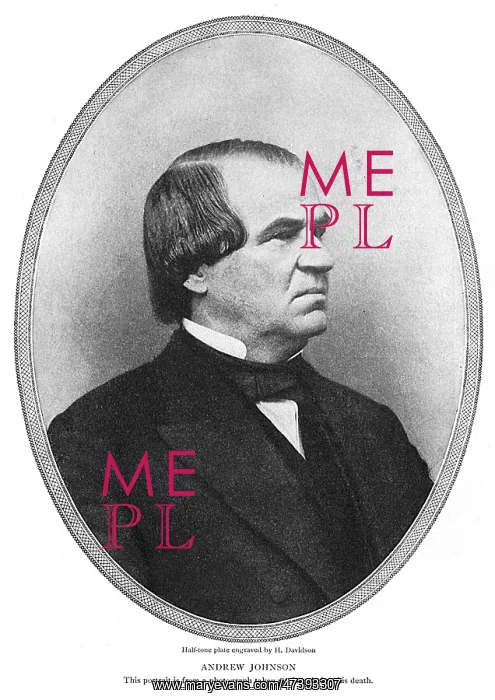 : ANDREW JOHNSON : ANDREW JOHNSON