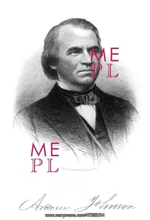: ANDREW JOHNSON : ANDREW JOHNSON