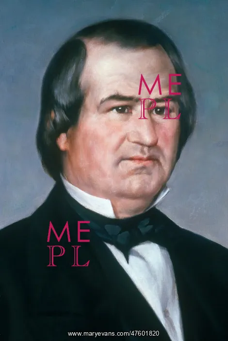: Andrew Johnson : Andrew Johnson