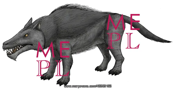 : Andrewsarchus, an ungulate mammal from the Eocene epoch : Andrewsarchus, an ungulate mammal from the Eocene epoch