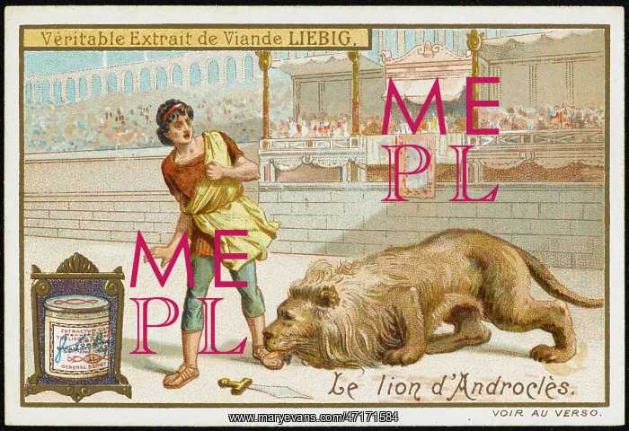 : Androcles - Lion : Androcles - Lion