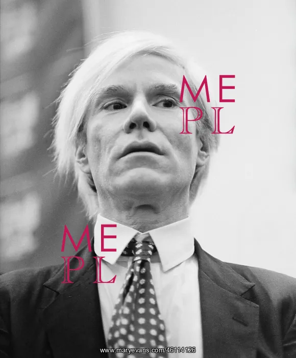 : Andy Warhol : Andy Warhol