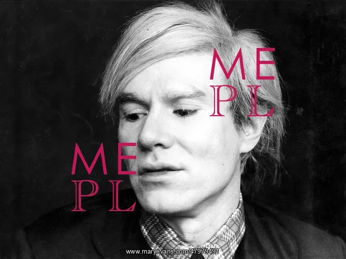 : Andy Warhol : Andy Warhol