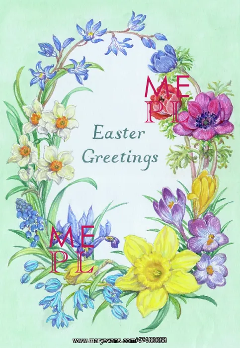 : Anemone, Scillas, Narcissi, Crocuses etc : Anemone, Scillas, Narcissi, Crocuses etc