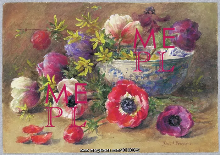  : Anemones by Annie L. Pressland