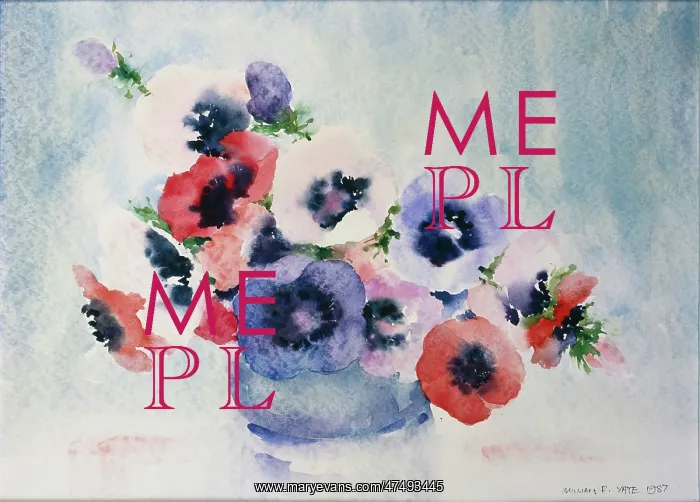  : Anemones