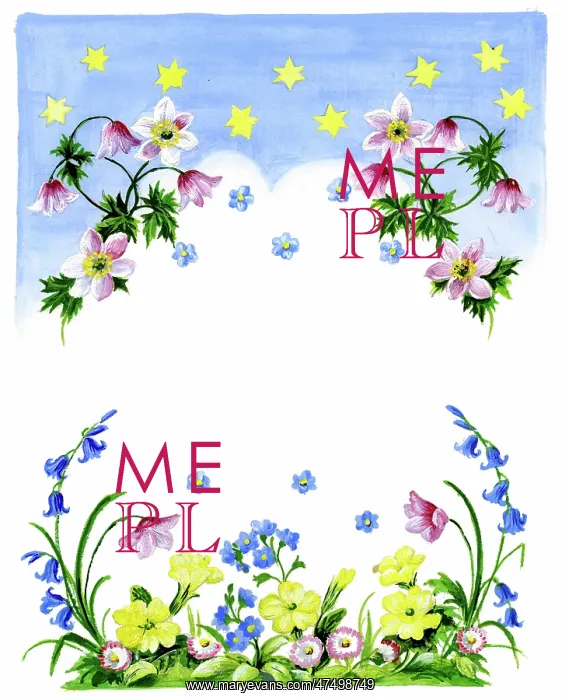 : Anemones, forget-me-nots, primroses etc : Anemones, forget-me-nots, primroses etc