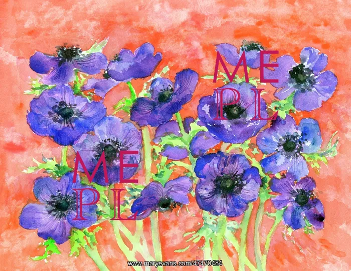  : Anemones on a red background
