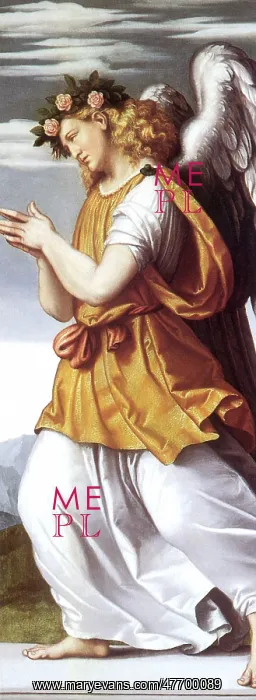  : Angel