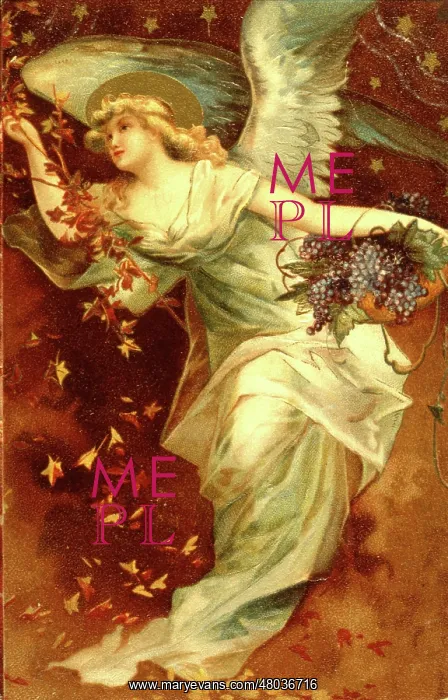  : Angel with autumn leaves and grapes