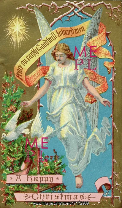  : Angel with Doves