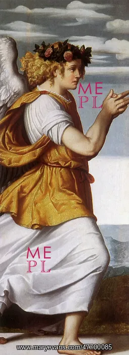  : Angel Facing Right