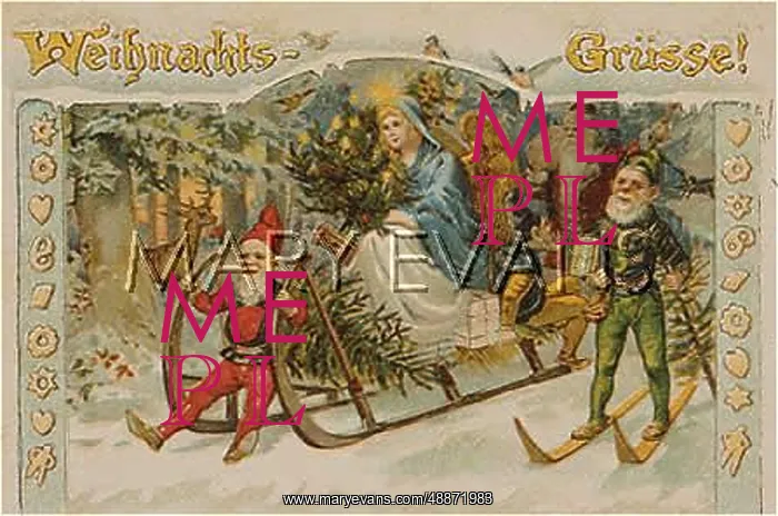 : ANGEL & GNOMES : ANGEL & GNOMES
