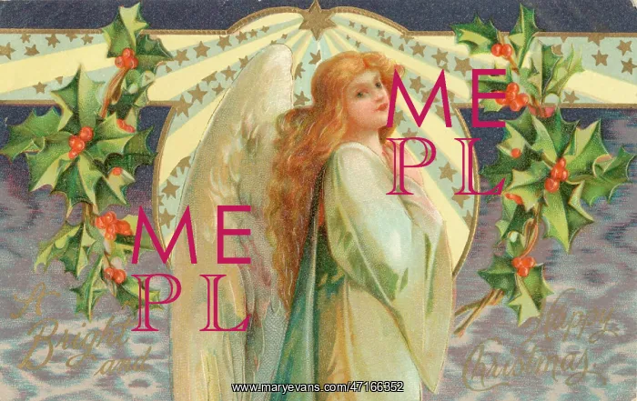  : Angel with Holly