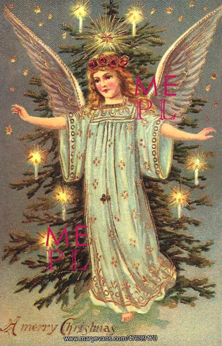 : Angel By Lit Christmas Tree : Angel By Lit Christmas Tree