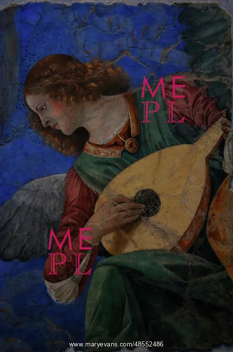 : Angel playing a lute, Melozzo da Forli : Angel playing a lute, Melozzo da Forli
