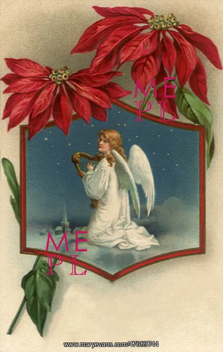 : Angel Below Poinsettias : Angel Below Poinsettias