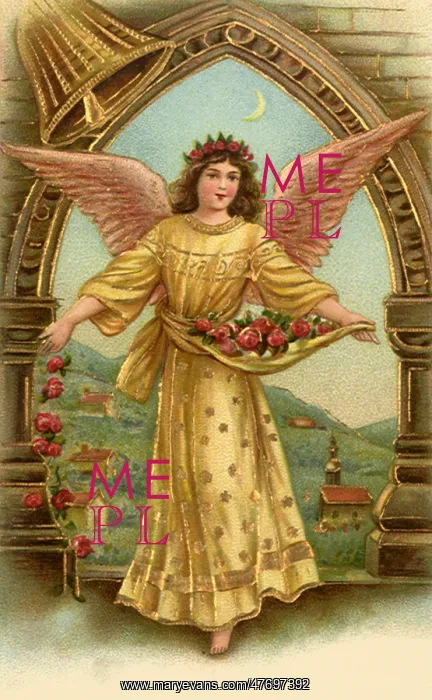 : Angel Scattering Roses : Angel Scattering Roses