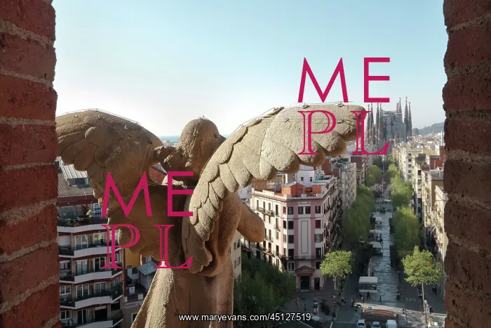 : Angel statue, Administration Pavilion, Hospital : Angel statue, Administration Pavilion, Hospital
