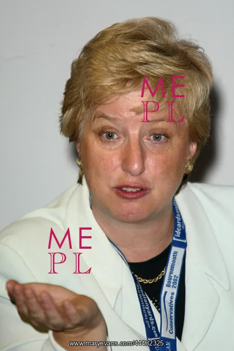 : Angela Browning MP : Angela Browning MP