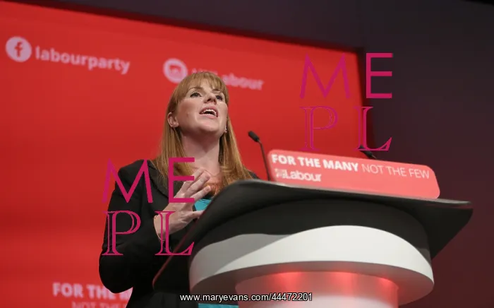 : Angela Raynor MP : Angela Raynor MP
