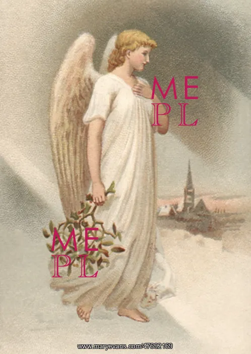 : Angel's Mistletoe
