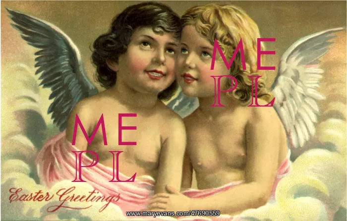  : Angels in Pink Drape