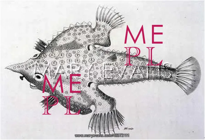  : ANGLER FISH / BEAKED